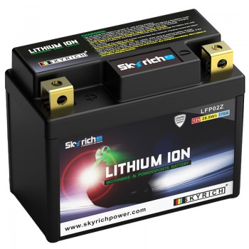Bateria de Litio Skyrich LFP02Z